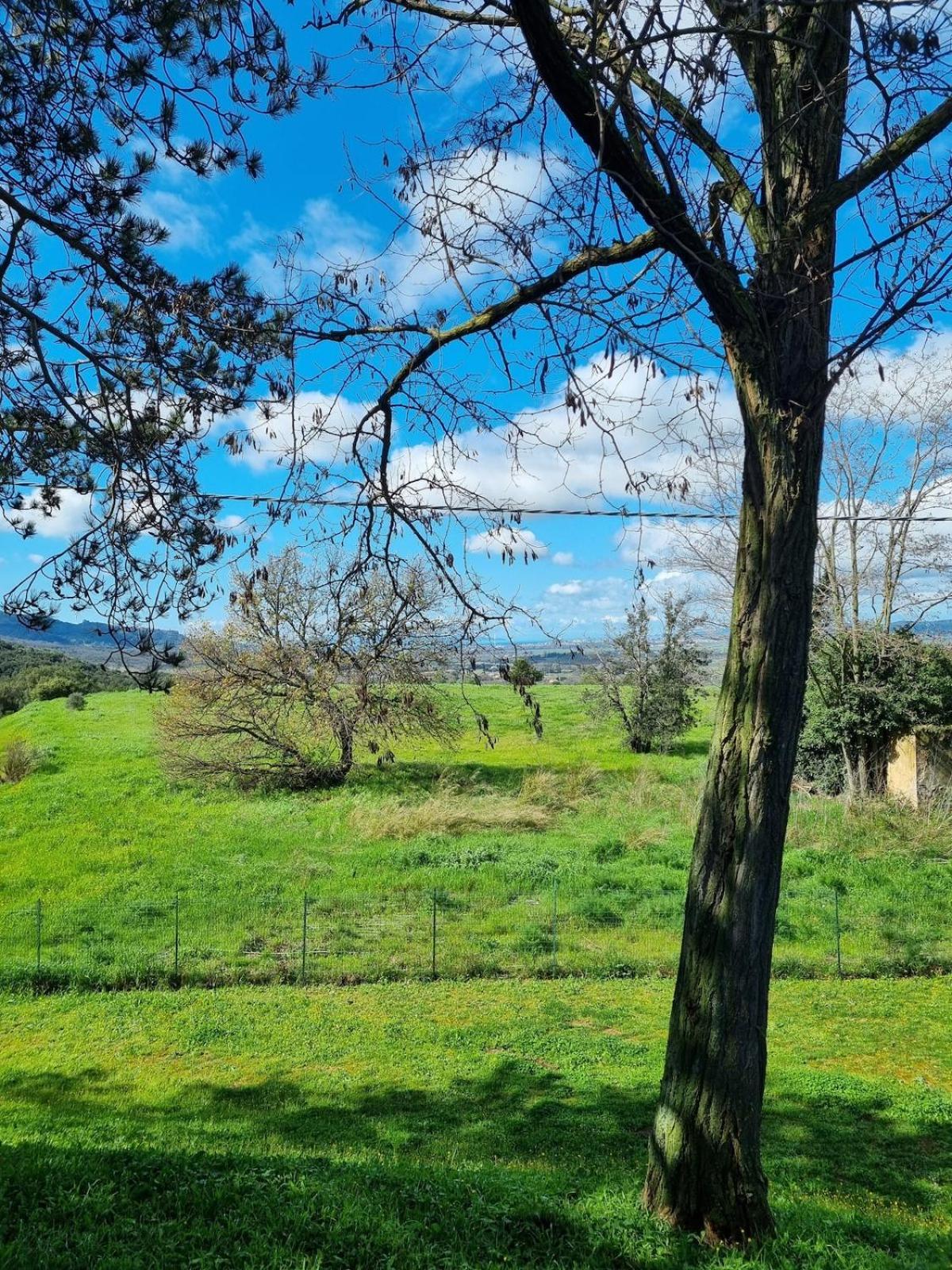 House Cesari Panoramic Apartment Gavorrano Exterior photo